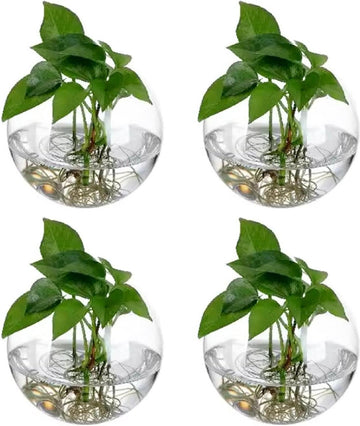 Hangende bloempotten - Set van 4 stuks - Glazen flessentuin terrarium voor planten binnen - Bubble wand vaas 10 cm - Geschikt voor vetplanten, bloemen en aquaria Bloempot