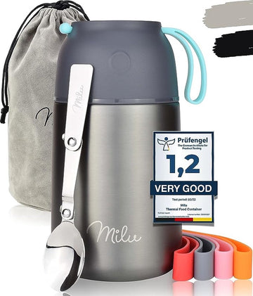thermocontainer lunchbox 450, 650, 800 ml | roestvrijstalen isolatiehouder voor warme gerechten, eten, babyvoeding, soep, fruit | thermobox voor baby | thermodoos (Grijs, 650ml)