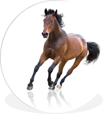 WallCircle - Wandcirkel ⌀ 60 - Paard - Bruin - Wit - Ronde schilderijen woonkamer - Wandbord rond - Muurdecoratie cirkel - Kamer decoratie binnen - Wanddecoratie muurcirkel - Woonaccessoires