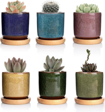 6CM Gekleurde Keramiek Succulente Plantenpot Set van 6 - Binnen Vetplant Bloempot met Bamboe Onderzetter en Afvoergat voor Sappige Planten - Decoratief Geschenk Flower Pot