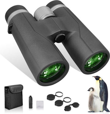 10 x 42 HD compacte waterdichte verrekijker voor vogelobservatie en wandelen - zwart Nachtkijker