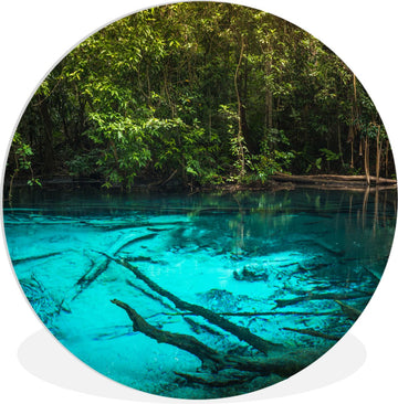 WallCircle - Wandcirkel ⌀ 90 - Helderblauw meer in de jungle - Ronde schilderijen woonkamer - Wandbord rond - Muurdecoratie cirkel - Kamer decoratie binnen - Wanddecoratie muurcirkel - Woonaccessoires