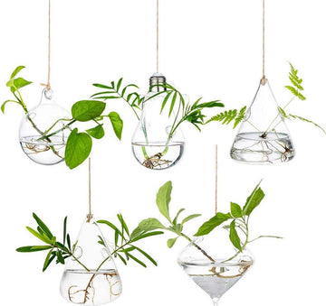 Grote Hangende Plantenbakken Water Luchtplant Succulente Containers Terrariumkits Kaarshouder - Binnen Buiten - 2 Gaten - 5 Stuks/Set met Snaren Touw voor Huis Tuin Balkon
