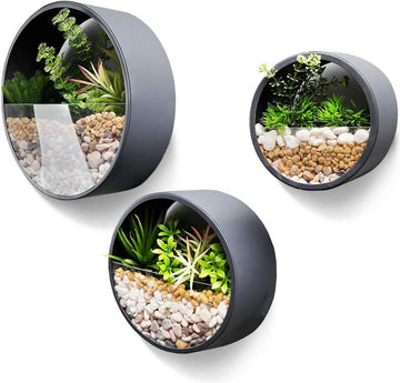 Plantenbak - Bak voor planten Set van 3 Metalen Ronde Muur Plantenbak hangend muur vaas bloempot voor binnen woondecor benodigdheden voor planten Cactus Vetplanten Sappig Mos Donkergrijs- hangend-10cm dik
