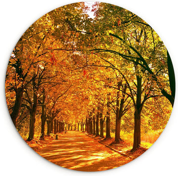 WallCircle® Wandcirkel 60x60 cm - Muurcirkel Bos - Herfst - Seizoenen - Landelijk - Gezellig - Muurdecoratie woonkamer - Wanddecoratie slaapkamer - Kamer decoratie accessoires - Ronde schilderijen - Woonaccessoires cirkel binnen