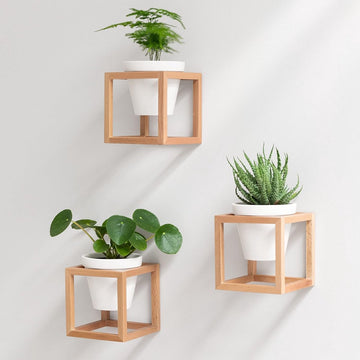 Wandvazen - voor Muurbloempjes, Muurplantjes, Muurbloem - Hangende bloempotten in echt houten frame - 3-delige set van keramiek en hout - bruin - Moderne wanddecoratie voor woonkamer