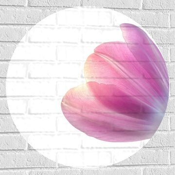 Muursticker Cirkel - Bloem - Zon - Paars - 70x70 cm Foto op Muursticker