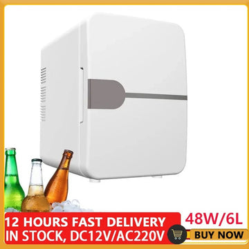 MELY mini koelkast - elektrische koelbox - camping koelkast - draagbare auto koelkast - inclu. USB-kabel - 12 Volt/220V - 6L