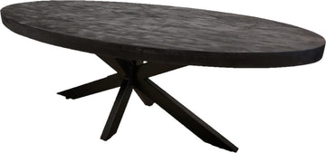 Salontafel Anne - volledig zwart - ovaal 120cm lang mangohout met matrix poot 80cm breed metaal frame