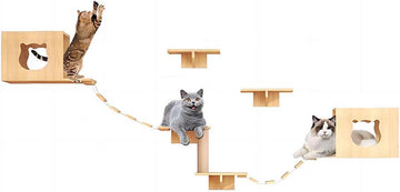 Wandmeubel Klimmuur Katten - 5-delig - Luxe Klim Wand voor aan de Muur - Krabpaal - Speelwand voor Katten