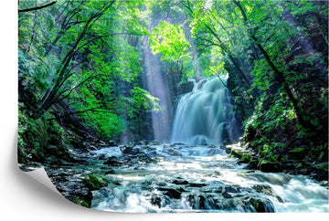 Fotobehang Waterval In Het Bos