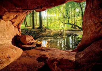 Fotobehang - Vlies Behang - 3D Uitzicht vanuit de Grot op het Bos - 368 x 280 cm