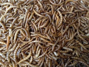 Meelwormen - Buitenvogelvoer (60 Liter)(10KG)