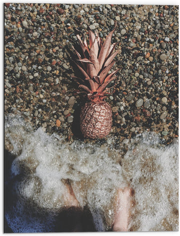 Dibond - Ananas op Kiezelstrand - 60x80 cm Foto op Aluminium (Met Ophangsysteem)