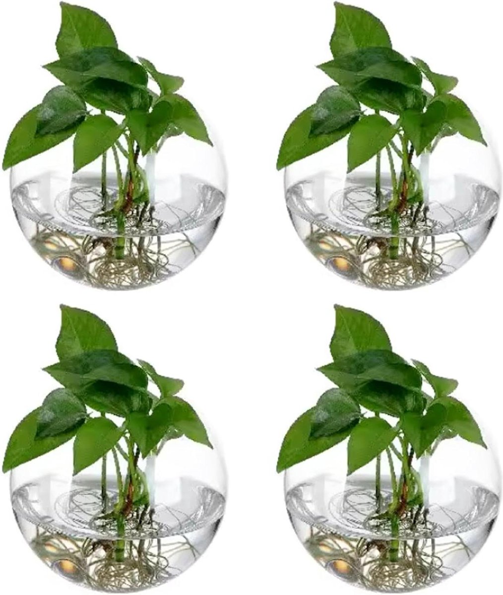 Hangende bloempotten - Set van 4 stuks - Glazen flessentuin terrarium voor planten binnen - Bubble wand vaas 10 cm - Geschikt voor vetplanten, bloemen en aquaria Bloempot