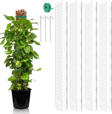 Klimhulp Monstera - 4 stuks - 61 cm - Mosstaaf Planten - Mosstokken Set - Kamerplant Mospaal - Kunststof - Doe-het-zelf - Wit