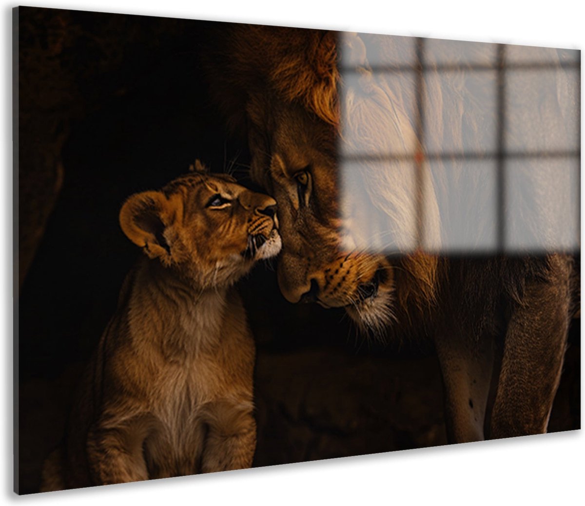Leeuwen schilderij - Dieren glasschilderij - Wanddecoratie Leeuw - Muurdecoratie kinderkamer - Schilderijen plexiglas - Wanddecoratie acrylglas 105x70 cm