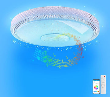 Badkamer Plafondlamp - Badkamerlamp Plafond 30W LED Bluetooth Speaker Kleurverandering APP Bediening Slaapkamer Keuken Kinderkamer Woonkamer Badkamer IP54