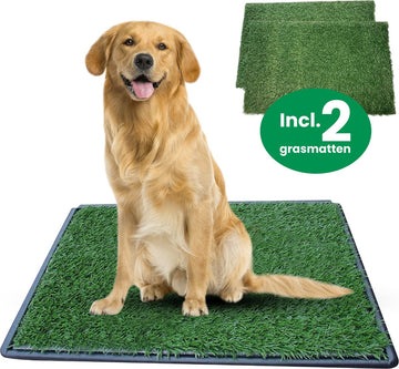 Gtrise Hondentoilet Met 2 Matten - Out/Indoor - Zindelijkheidstraining Ebook - Dieren Wc