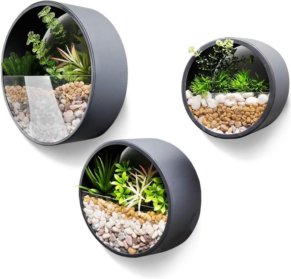 Plantenbak - Bak voor planten Set van 3 Metalen Ronde Muur Plantenbak hangend muur vaas bloempot voor binnen woondecor benodigdheden voor planten Cactus Vetplanten Sappig Mos Donkergrijs- hangend-10cm dik