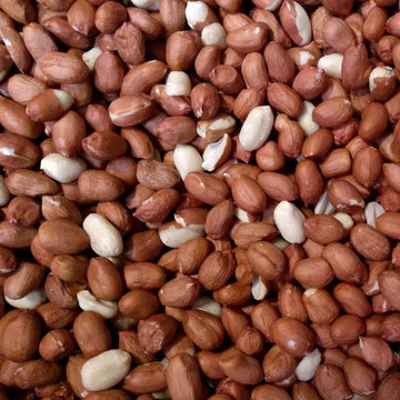 Pinda's - Gepelde Pinda's - Hoge kwaliteit - Olierijk - 20kg (2x10kg)