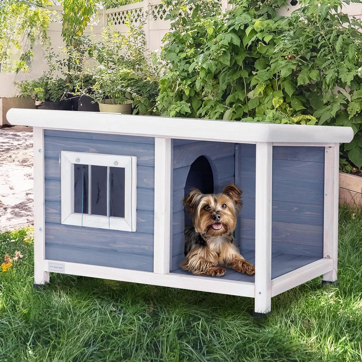 Kattenhuis houten kattenkennels voor buiten - één kamer en lounge - asfaltdak - hondenhokken voor buiten