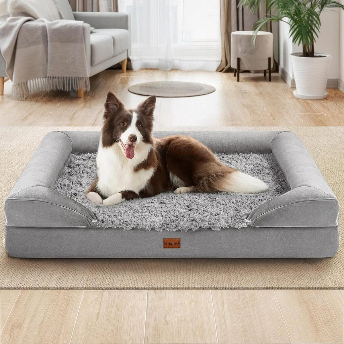 Orthopedisch Hondenbed van Dik Schuim Waterdicht - Afneembare Wasbare Huisdierbedhoes voor Grote Middelgrote Kleine en Senior Honden - Comfortabel en Duurzaam fluffy dog bed