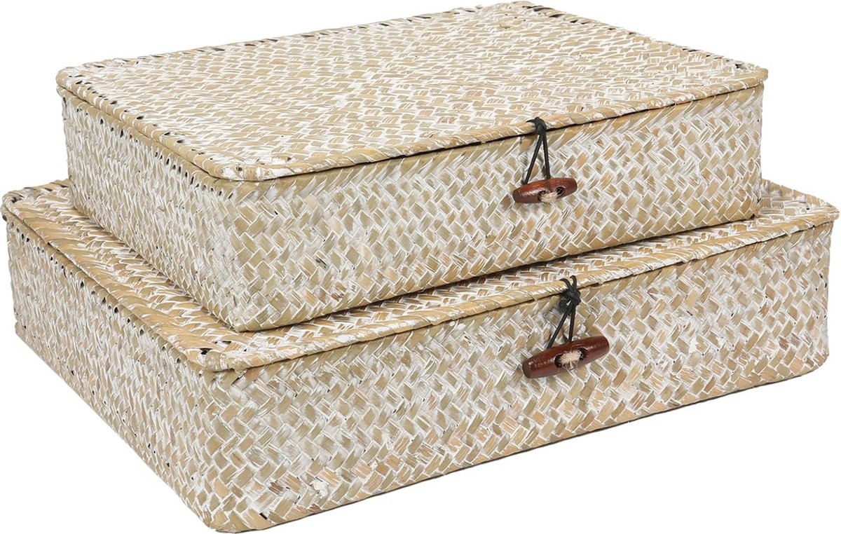 Set van 2 plat geweven rieten manden met deksel, natuurlijke zeegras-mandboxen, multifunctionele organizer, dozen voor plankorganizer