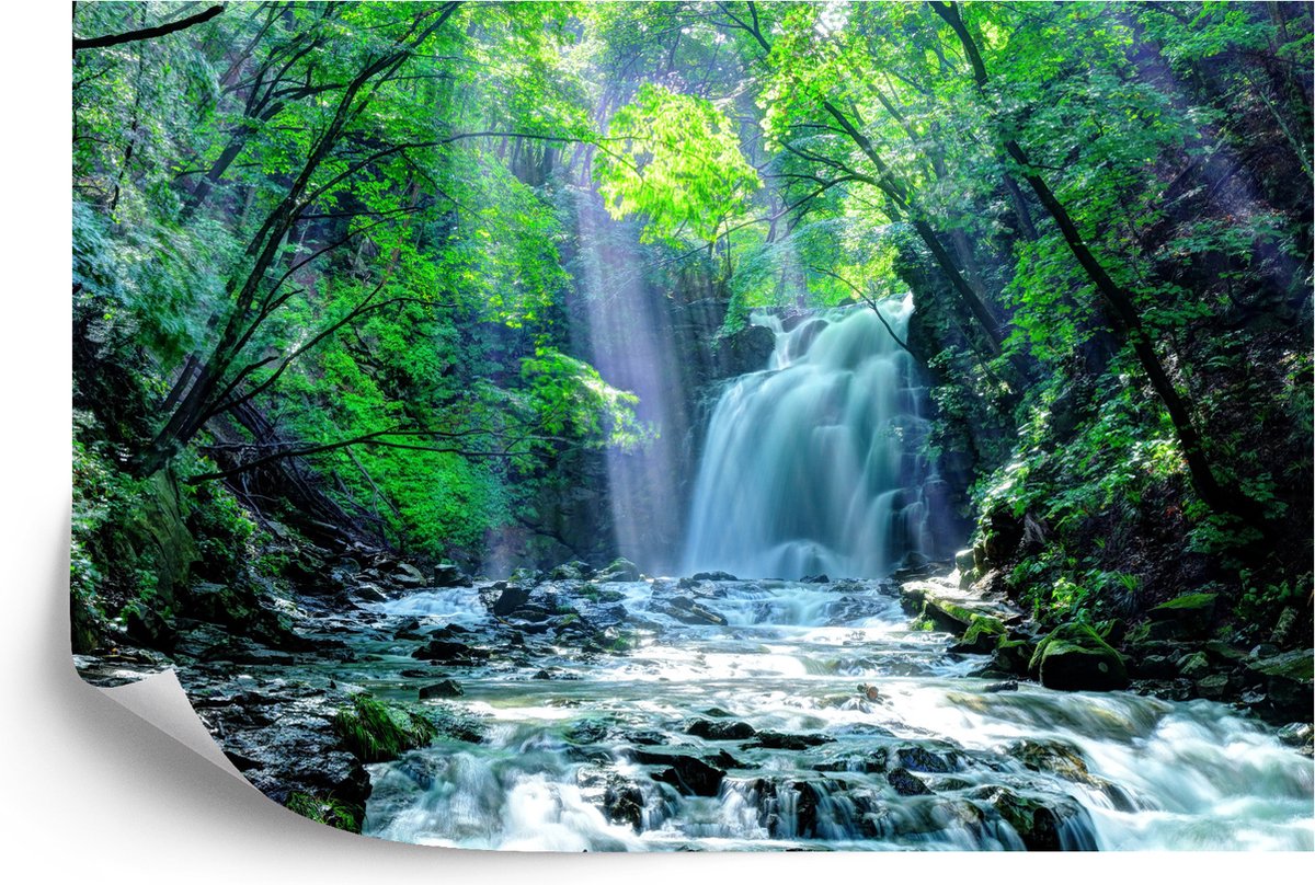 Fotobehang Waterval In Het Bos