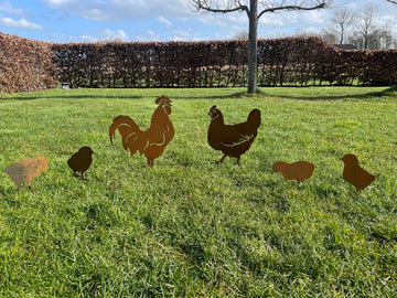tuindecoratie, tuinbeelden voor buiten, cortenstaal ( roest) , cortenstalen , tuinsteker, haan met kip en 4 kuikens, metaal, staal
