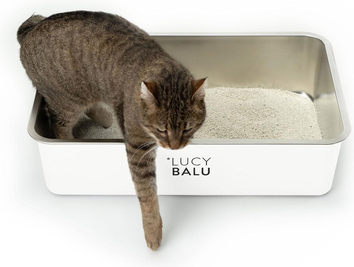 RVS kattenbak geurvrij | grote roestvrijstalen kattenbak | open kattenbak voor toegang van bovenaf | Hop-in kattentoilet zonder deksel | Kattentoilet | RVS kuip | Wit