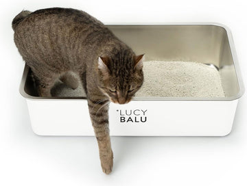 RVS kattenbak geurvrij | grote roestvrijstalen kattenbak | open kattenbak voor toegang van bovenaf | Hop-in kattentoilet zonder deksel | Kattentoilet | RVS kuip | Wit
