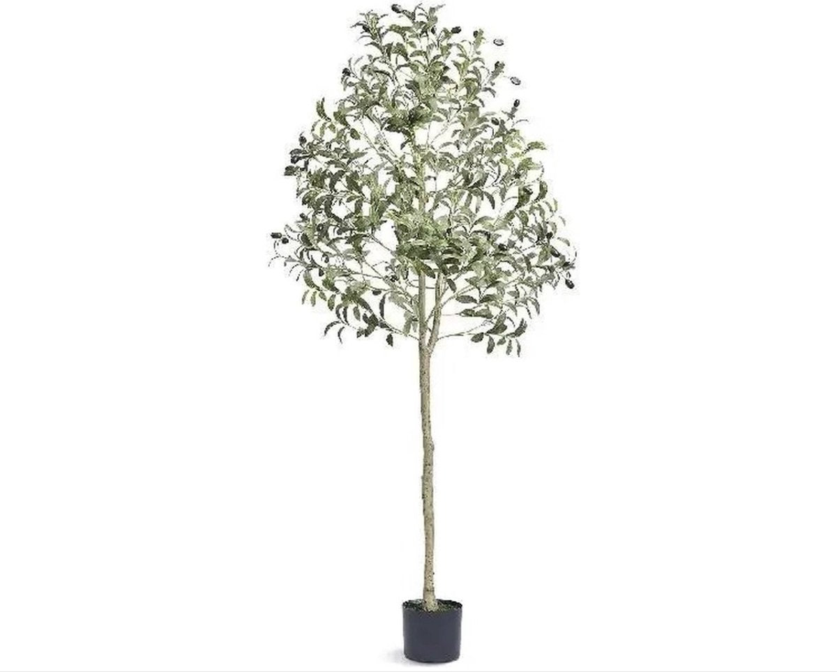 Olijfboom - Olijfboom kunst - Boom- Nep plant - Decoratie - 181cm - Binnen en Buiten - Zwart/Groen