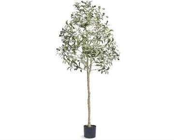 Olijfboom - Olijfboom kunst - Boom- Nep plant - Decoratie - 181cm - Binnen en Buiten - Zwart/Groen