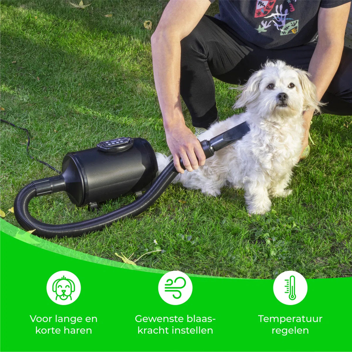 Hondenfohn met 4 Opzetstukken - 2800W - Waterblazer voor Honden - Honden Droger - Waterblazer Hond - Zwart