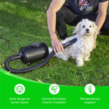 Hondenfohn met 4 Opzetstukken - 2800W - Waterblazer voor Honden - Honden Droger - Waterblazer Hond - Zwart