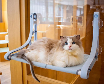 Kat Bed Luxe Zuignap Hangmat Nest Opknoping Kat Bed Raam Klimmuur Vensterbank Muur Wandmeubel Hangmat Katten bed Huisdier Dierbenodigdheden