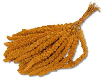 Trosgierst Chinees - 15 Kg